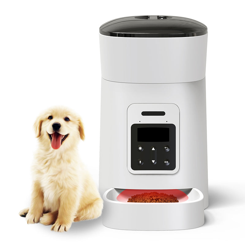Modern Luxury Auto Pet Feeder Indoor Automatic